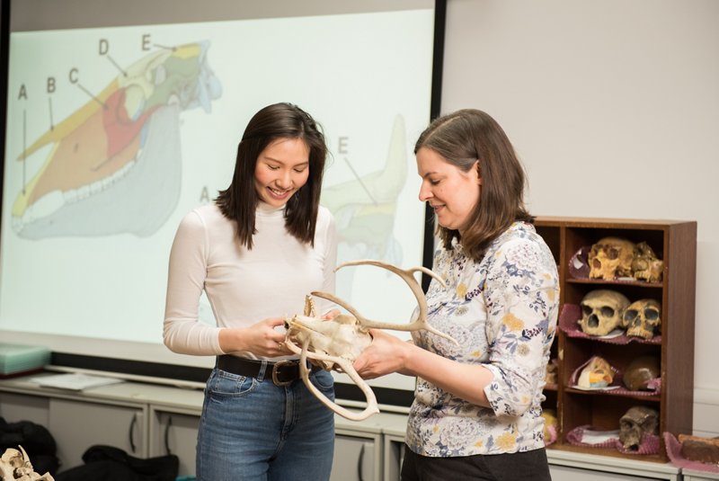 Staff and students discussing animal bone anatomy in the teaching lab
