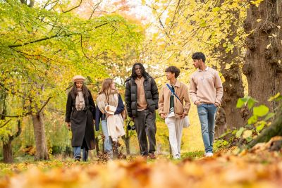 International undergraduate study