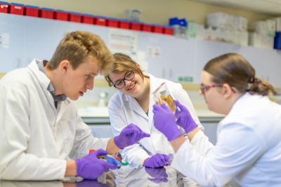 Specimen examination at the School of Veterinary Medicine and Science at The University of Nottingham. Photos by Alex Wilkinson Media