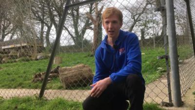 Matt talks us through what he's learned on his placement at Dartmoor Zoo