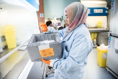 Research associate looking at Cancer cell culture using matrigel, Tissue Culture Laboratory, Nottingham Medical School, Queens Medical Centre