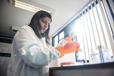 Female postgraduate student using immunohistochemistry and western blot in the Tissue Culture Laboratory, D floor, Nottingham Medical School, Queens Medical Centre