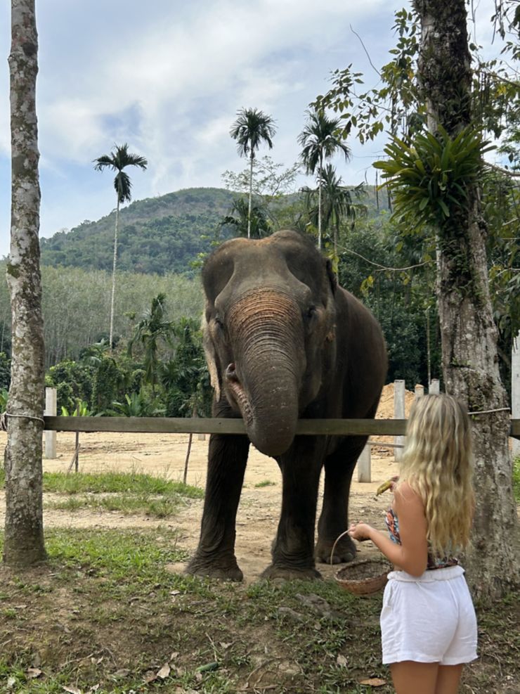 Undergraduate Law student for study abroad article