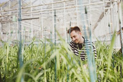 Smiling student standing in greenhouse studying plants in foreground
