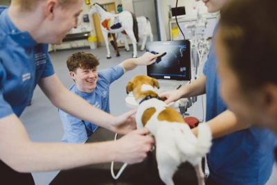 Undergraduate veterinary students performing an abdominal ultrasound on a dog in the Clinical Skills lab, Sutton Bonnington campus