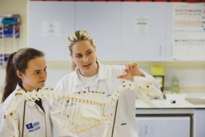 Undergraduate students examining a skeleton in the Surgery Suite, Clinical Building, Sutton Bonnington campus