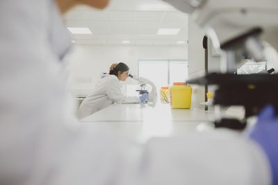 Undergraduate students looking through microscopes in the STEM lab on Sutton Bonington Campus