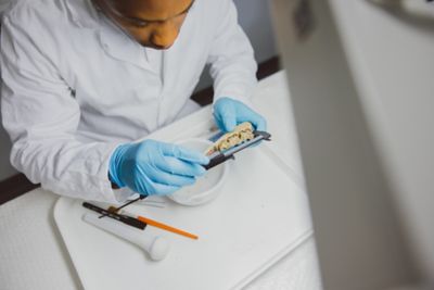 Undergraduate student examining animal bones in the A07 Bones laboratory, Humanities Building, University Park