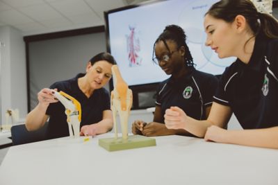 Assistant Professor teaching anatomy to undergraduate students