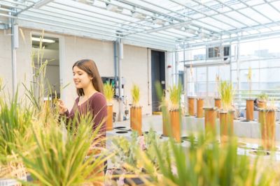 Smiling student standing in greenhouse studying plants in foreground