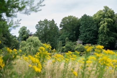 Lenton Firs summer house, University Park Campus