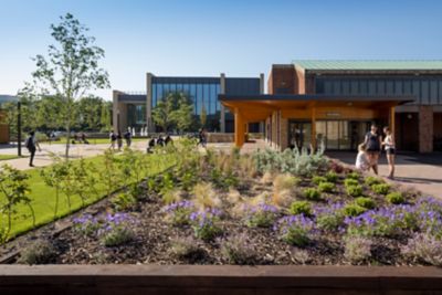 Sutton Bonington herb garden and surrounding buildings