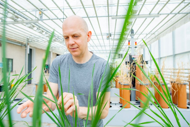 Biosciences researcher reviewing plant growth