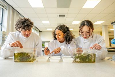 Undergraduate students looking at water samples in the Life Sciences lab