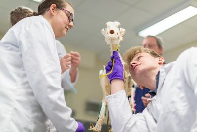 Vet School at The University of Nottingham. Photos by Alex Wilkinson Media