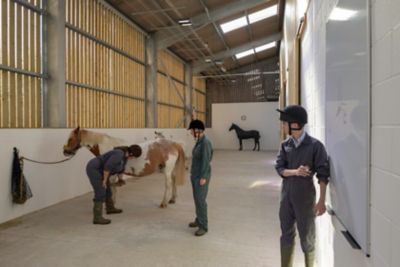 Farm and Equine Teaching Facility, Sutton Bonington campus
