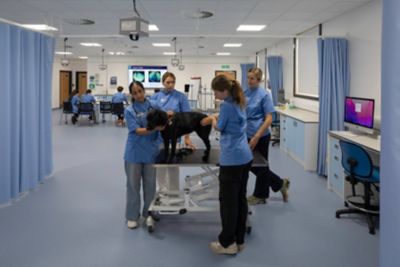 Sir Peter Rubin Veterinary Education Centre